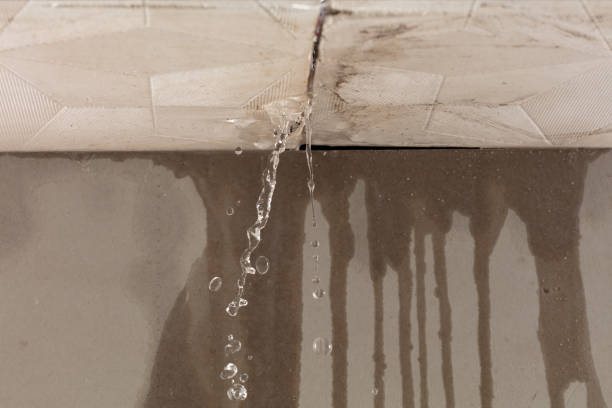 Professional Structural Drying technician working in Danbury, WI
